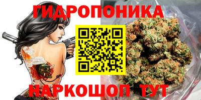 прущие грибы Пушкино