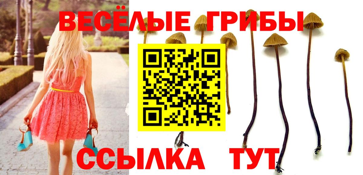 Псилоцибиновые грибы GOLDEN TEACHER  Вход с VPN  наркотики  Балашиха 
