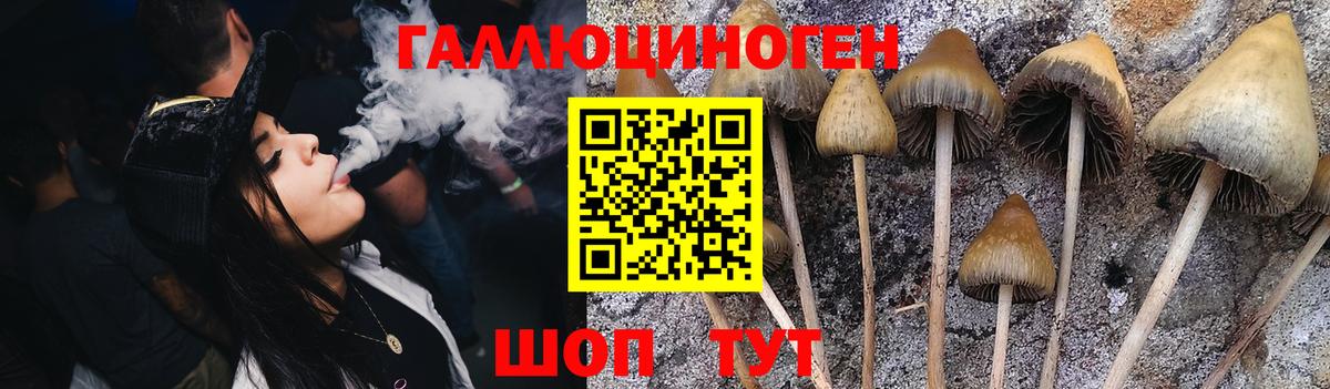 Псилоцибиновые грибы Magic Shrooms Балашиха
